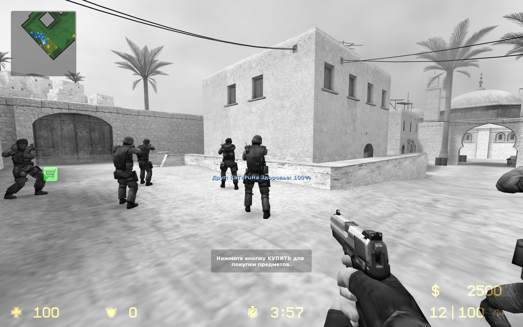 Серый экран в начале раунда из CSGO