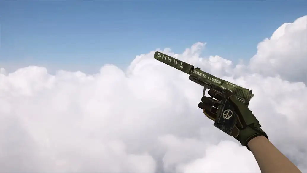 Модель «USP «Взгляд в прошлое»